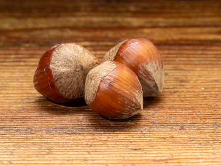 Nuts, hazelnuts, edible seeds of high caloric power and very fatty.の写真素材