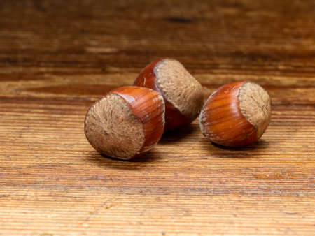 Nuts, hazelnuts, edible seeds of high caloric power and very fatty.