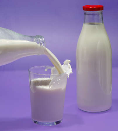 Bottle of milk, cow. Dairy product used in breakfast.