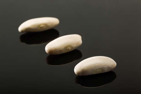 White beans of the Faba de Lourenza variety, its cultivation area is in Galicia, in northern Spain.