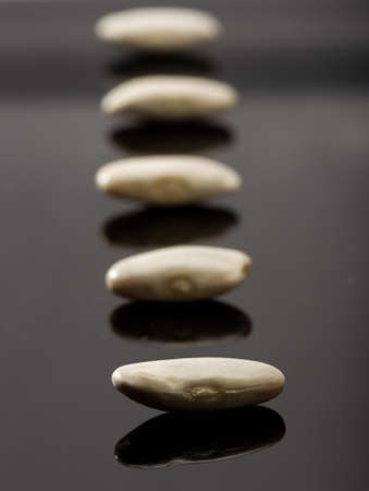 White beans of the Faba de Lourenza variety, its cultivation area is in Galicia, in northern Spain.の写真素材