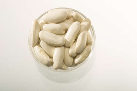 White beans of the Faba de Lourenza variety, its cultivation area is in Galicia, in northern Spain.