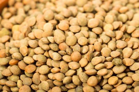Lentil Pardina, a variety of legumes that has its cultivation area in the region of Tierra de...