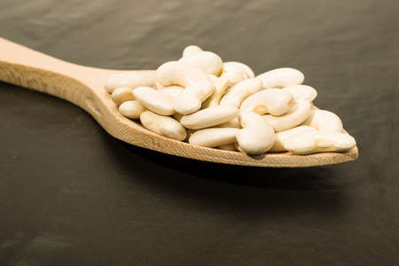 White beans of the Mongeta variety of the Ganxet, their cultivation is carried out in Catalunya, Spain.の写真素材