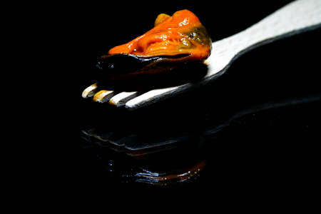 Can of pickled mussels half open. Canned mollusk much appreciated in snacks.