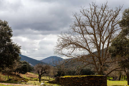Landscape of the Montes de Toledo in Castilla La Mancha, Spain.