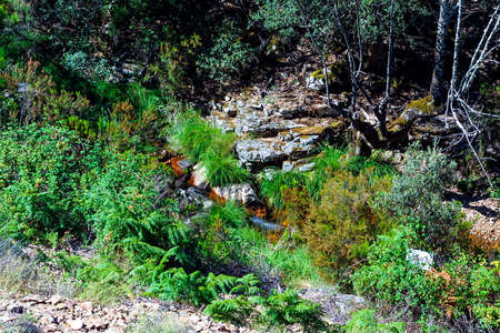 Mountain landscape in the Montes de Toledo, Cabaneros National Park, Los Navalucillos, Toledo,...