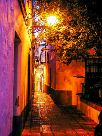 View of a street in Marbella at dusk, Andalucia, Spainの写真素材