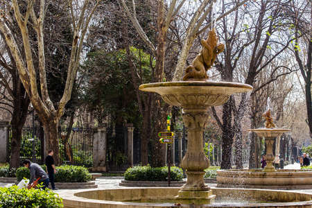Urban landscape, views of statues and monuments in the buildings of Madrid, Spain.の写真素材