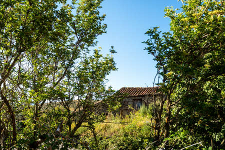 Farmhouse in the countrysideの写真素材