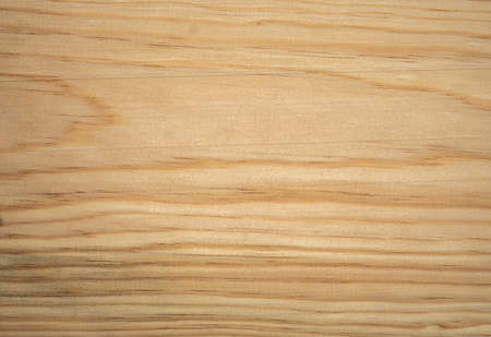 natural wood texture photography