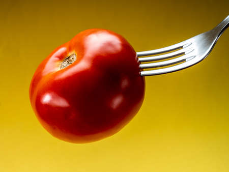 Spiked tomato on a fork with yellow backgroundの写真素材