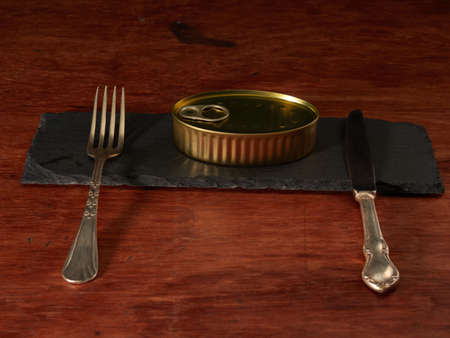 Different types of cans with prepared foods for consumption, vegetables, fish and meat