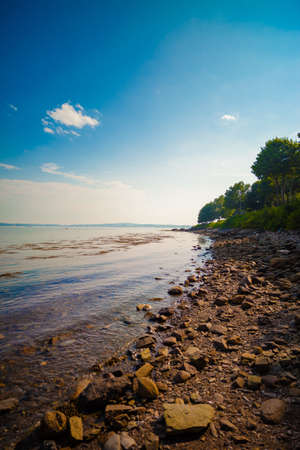 Rocky beach on a clear blue dayの写真素材