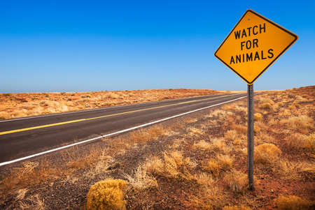 Watch For Animals sign in the Arizona desertの写真素材