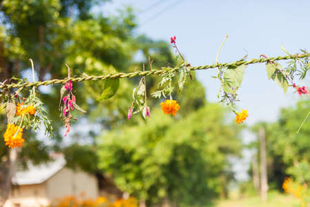 Flower and grass garlands to string between houses for Tihar in rural Nepalの写真素材