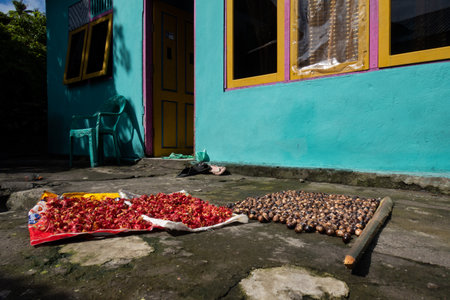 Fresh nutmeg drying in the sun, Banda Islands, Indonesiaの写真素材