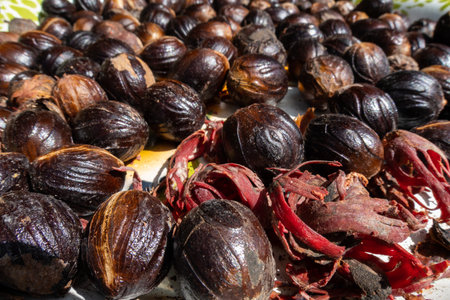 Fresh nutmeg drying in the sun, Banda Islands, Indonesia