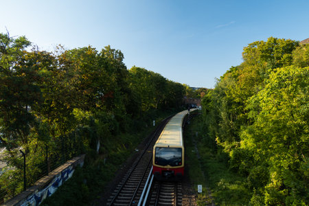 S-bahn train travels through the forest near Berlinの写真素材
