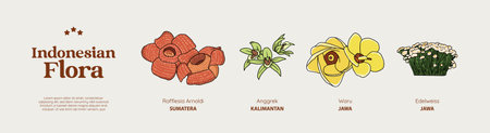 Isolated Hand drawn various Indonesian plants illustrationのイラスト素材