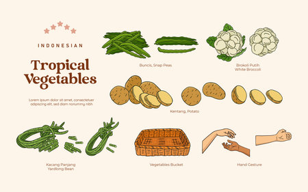 Isolated Tropical vegetables illustration, Indonesian botanical consumed plants elementのイラスト素材