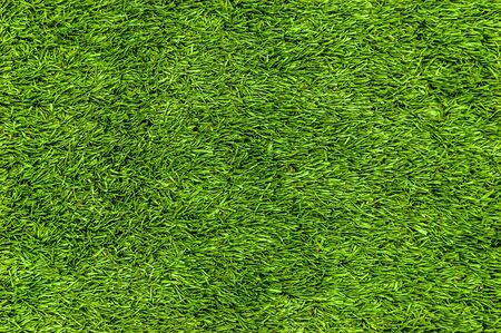 Geen grass textureの写真素材