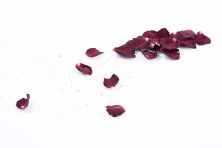 Old dried red roses isolated against a white backgroundの写真素材