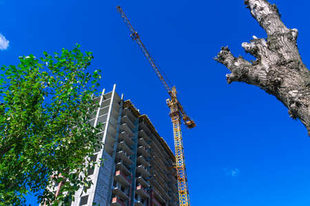 A tower construction crane on the background of a blue sky. Boom rotary crane with boom. A tree and...