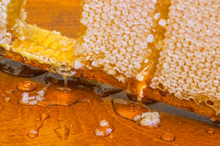 Natural honey in honeycombs. Honeycomb in a frame. The honeycombs are sealed with wax. Bee flower...