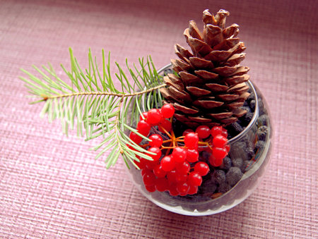 Still life of autumn berries. Red berries of viburnum and black mountain ash with a fir coneの写真素材
