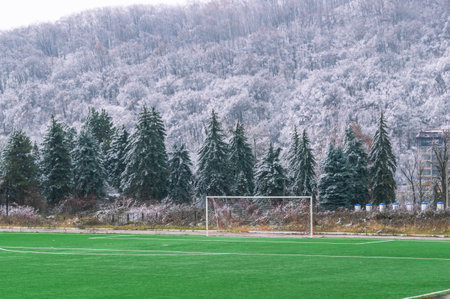 A football field with green grass on the background of a mountain with snow-covered trees. Green grass on the football field for training in winter. Football field with gates for playing football.の写真素材