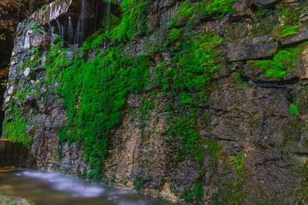 Water flows in small trickles down a stone wall covered with green moss. A small waterfall. The masonry is covered with green moss.の写真素材