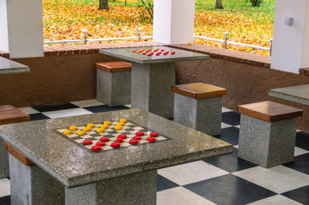 A board game of checkers. A table for playing checkers and chess. A logic game for two players. An intelligent board game.の写真素材