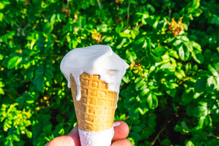 Ice cream melts and flows down the horn and hand on a hot summer day. Melting white ice cream.の写真素材