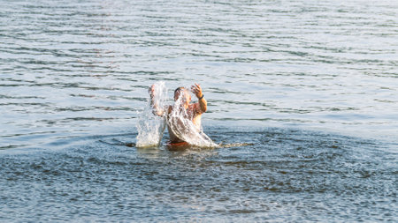 Swimming in the river in summer. A man swims in the river and splashes. Beach holidays on the water. A man in bright orange shorts is relaxing on the beach.の写真素材