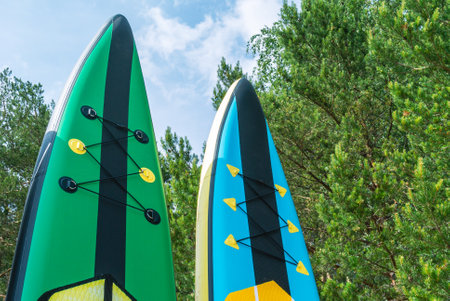 water sports. Inflatable multicolored sap boards on a background of blue sky and fir trees. Tourism on sap boards. A kind of surfing in which an athlete paddles with an oar. Recreation on the water.の写真素材