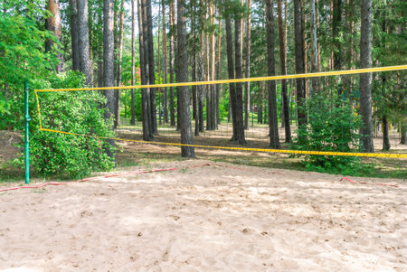 A volleyball court with a sandy surface in a pine forest. outdoor volleyball. outdoor activities. Volleyball net and sand playground in the forest. A team game.の写真素材