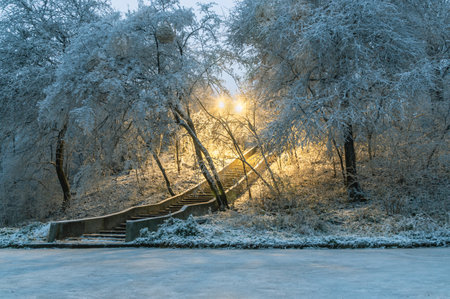 Lighting stairs in the park in winter in the fog. Lanterns for lighting in the city park. Icy plants after rain and sudden cold snap. Frosty weather in winter. Frozen trees in the city park in winter.の写真素材