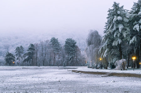 Lanterns shine in the city park in the evening. Lighting in the park. Changeable weather. Fog covers the city park. Frosty weather in winter. Frozen rainwater. Ice crystals. In theの写真素材