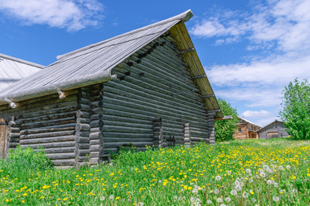 An old house in the village made of dark logs with a wooden roof.Dandelions in front of the house made of logs.Wooden old manor house of the 19th century. Rustic landscape in the summer in the villageの写真素材
