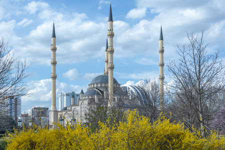 One of the largest mosques in the world is made in the classical Ottoman style. View of the grand mosque with flowering trees. A mosque with minarets and a blue sky with clouds.の写真素材