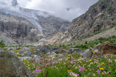 View of a glacier covered with clouds. Panorama in a mountain gorge. The glacier descends from the top of the mountain, forming waterfalls with clear water. Granite stones and flowers in the mountainsの写真素材