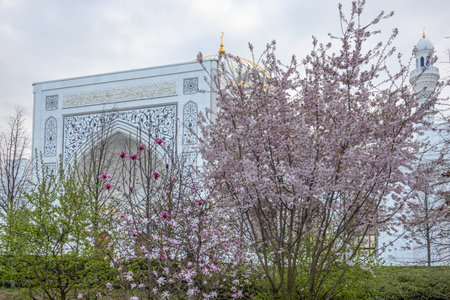 View of the grand Mosque. There are flowering trees in front of the mosque. A white mosque with minarets.の写真素材