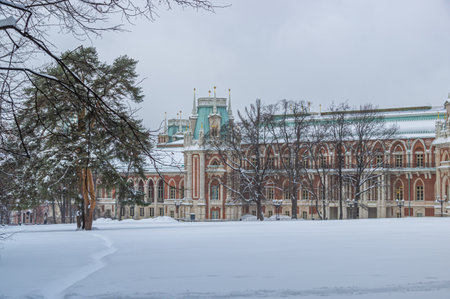 Tsaritsyno is a palace and park ensemble in the south of Moscow, founded by order of Empress Catherine II in 1776. An ancient palace in the winter cold. Snow drifts in front of the palace.の写真素材