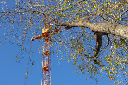 Equipment for the construction and lifting of bulky goods with construction materials. A tower crane on a construction site against a blue sky background. Construction equipment.の写真素材