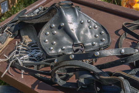 Saddle and accessories for horses made of genuine leather. Riding equipment. Items for equipping a...