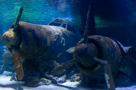 A sunken military propeller plane at sea. A bomber shot down over the Mediterranean Sea during World...