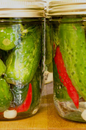 Dill Pickles with a Kick these have just been put in the jars and ned to sit for 16 days  The hot...