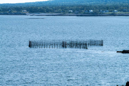 Weir in Petties Cove on Grand Mananの写真素材