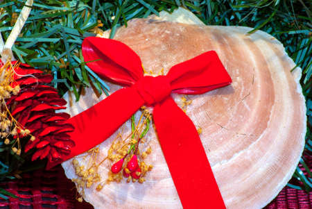 Scallop Shell, pine cones and garland as a Christmas Decorations
